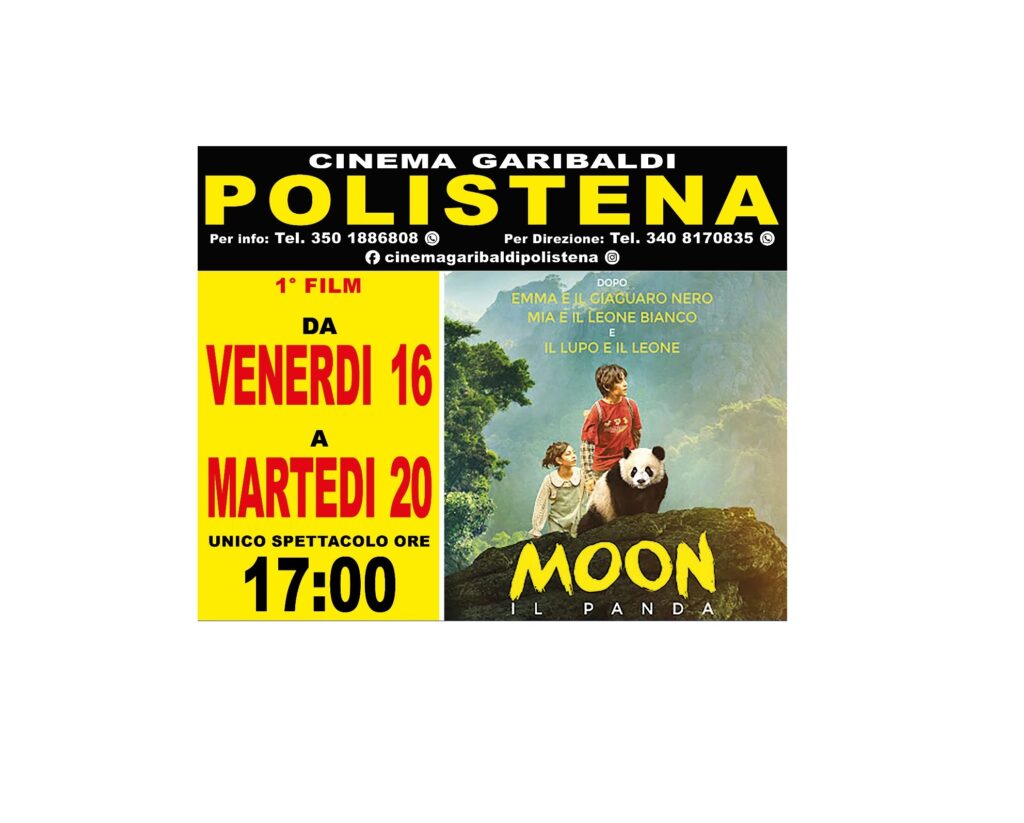 MOON IL PANDA