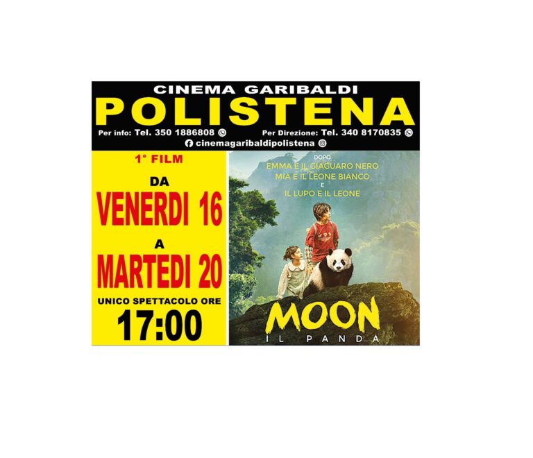 MOON IL PANDA